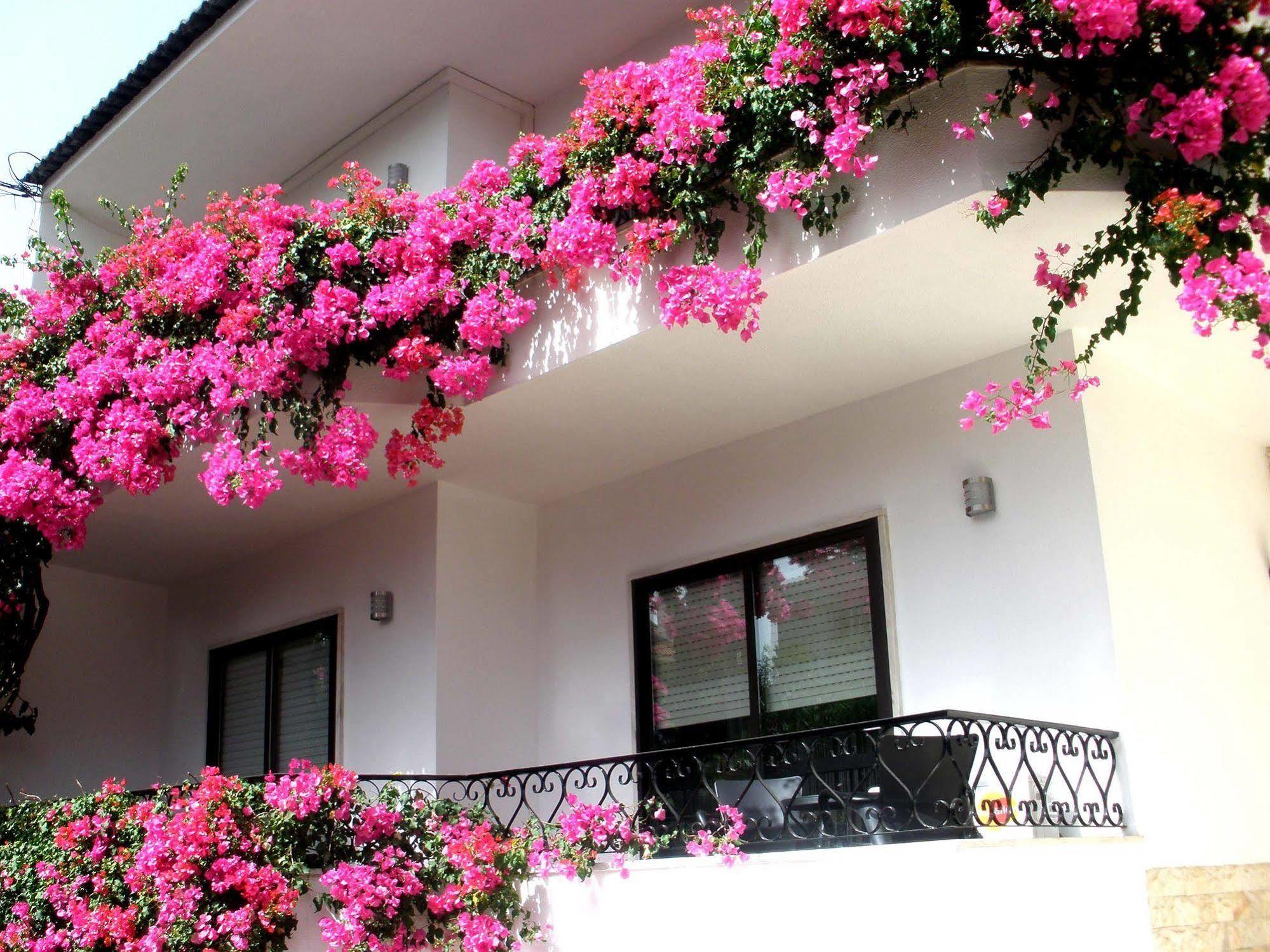 Dolce Cascais Guest House Exterior foto